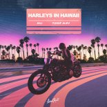 Aili & Yusuf Alev - Harleys In Hawaii (Original Mix)