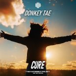 Donkey Tae - Cure
