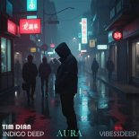 Tim Dian, Indigo Deep & vibessdeep - Aura