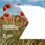 Alex Nomak & Yuri Melnikov - Endless Spring (Extended Mix)
