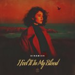 Dinamixx - I Feel It in My Blood