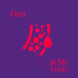 N.O.Y - Dust In My Veins (Extended Mix)