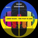 Amir Telem - The Past Is Ash (Original Mix)