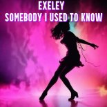 Exeley - Somebody I Used To Know