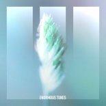 Passenger 10 - Silent Echoes (Extended Mix)