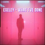 Exeley - What I've Done
