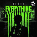 Dr Donk - Everything You Want (Original Mix)