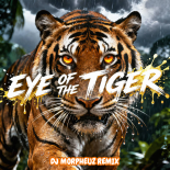 Survivor - Eye Of The Tiger (DJ MorpheuZ Remix)