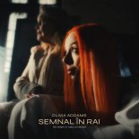 Olivia Addams - Semnal în Rai
