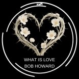 Bob Howard - What Is Love