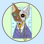 Mirco Costa - Down Down