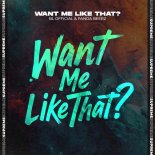 BL OFFICIAL and Panda Beerz - Want Me Like That
