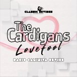 The Cardigans - Lovefool (Dario Caminita Revibe)