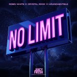 Robin White & Crystal Rock Feat. HAEHNCHENTEIlE - No Limit