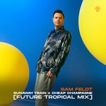 Sam Feldt & Cheap Champagne - Runaway Train (Future Tropical Remix)