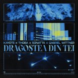 Kayote - Dragostea Din Tei