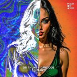 Dr Phunk & Davoodi - Sniffany (Original Mix)