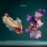 Mauro Vetter, Blaqq & Why'd - You Got My Loving (Original Mix)