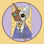 Marc Molina - Up & Down