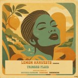 TRINSEO - Fluid (FederFunk Remix)