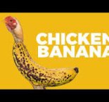NetBeat — Chicken Banana Groovy