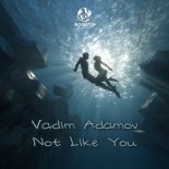 Vadim Adamov - Not Like You (Original Mix)