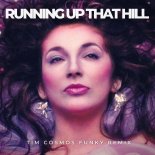 Kate Bush - Running up That Hill (Tim Cosmos Funky Remix)