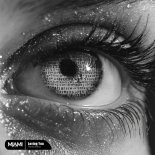 Hamidshax - Loving You