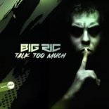 Big RIC - Talk Too Much