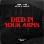 N9ne Lives and Nikko and ALEZYE - Died In Your Arms