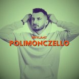 Brylant - POLIMONCZELLO (Radio Edit)