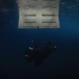 Billie Eilish - WILDFLOWER (Radio Edit)