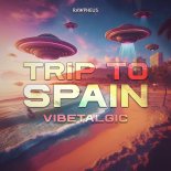 Vibetalgic - Trip To Spain (Extended Mix)