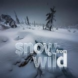 Danekoo1 - Snow From Wild (Euro Style Chill)