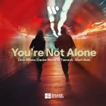 Dino Mileta, Daniel Merano, Tamash, Mark Bale - You are not Alone (Hypertechno Extended Mix)