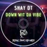 Shay dT - Down Wit Da Vibe