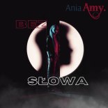 AniaAmy - BEZ SŁOWA