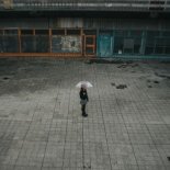 Małgorzata Beczek - Insomnia