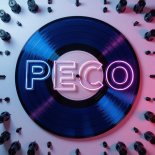 Peco - Techno Bang Bang Bang Mix 2025.12.28