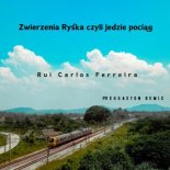 Rui Carlos Ferreira - Zwierzenia Ryśka czyli jedzie pociąg (Radio Edit)