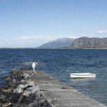 Dermot Kennedy - Let Me In