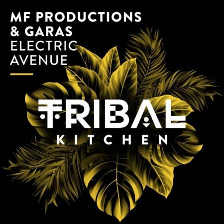 MF Productions, Garas - Electric Avenue