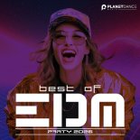 Melodronix - The Only One