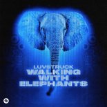 Luvstruck - Walking With Elephants (Extended Mix)