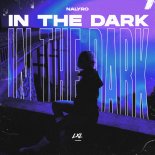NALYRO - In The Dark