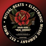 David Avril - Real Groove (Original Mix)