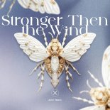 Amir Telem - Stronger Then the Wind (Extended Mix)