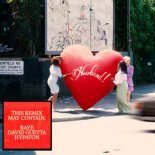 RAYE x David Guetta x Hypaton - WHERE IS MY HUSBAND! (Extended Remix)