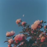 MVRSXX, DALEN & Moretti - New Day