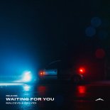 MALCEVS & MALVIDI - Waiting For You